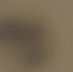 Terápiás kapcsolat