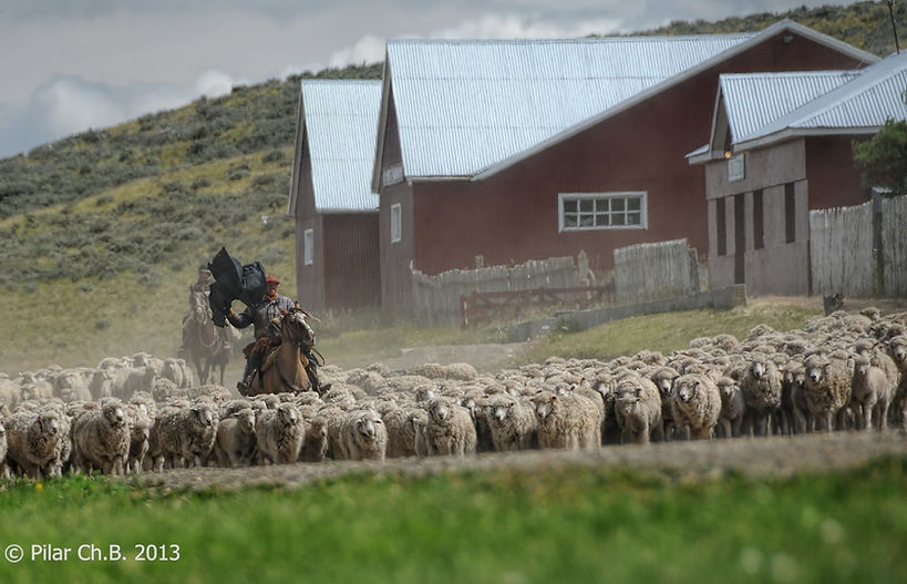 WhatsApp Image 2020-05-30 at 20.37.15.jp