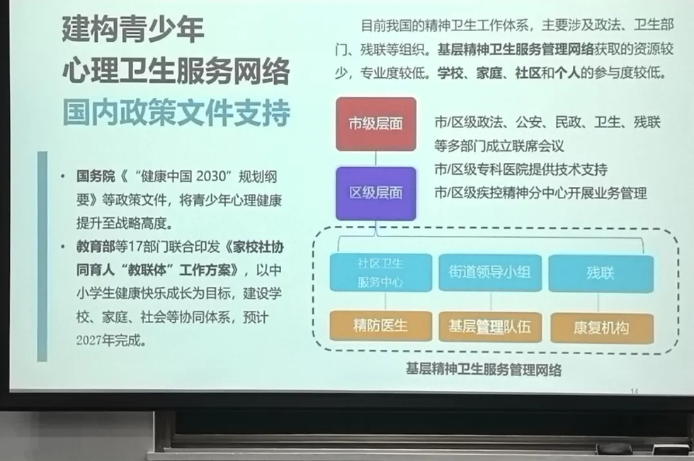 基于社区的青少年心理干预服务网络建设