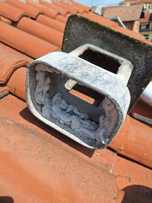 Immagine WhatsApp 2025-07-18 ore 20.18.20_7ccccced.jpg