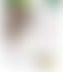 Bangkok madam 2016年8月号に掲載していただきました