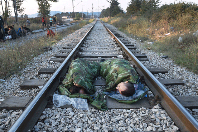 Syrian Human
