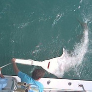 florida_fishing_holiday2-300x223.jpeg