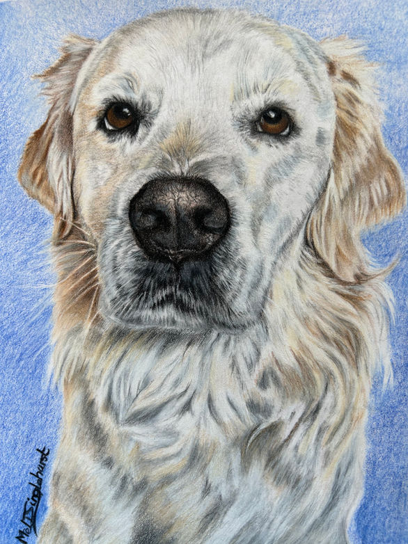 Melanie Singlehurst Pet Portraits
