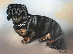 Melanie Singlehurst Pet Portraits