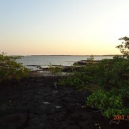 GuineaBissau2013155_zps4eadc2d61-300x225
