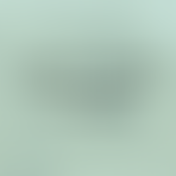 AGAR 2024 25 Notice of Conclusion of Audit