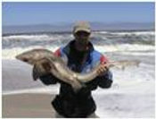 Namibia_sharking.jpeg