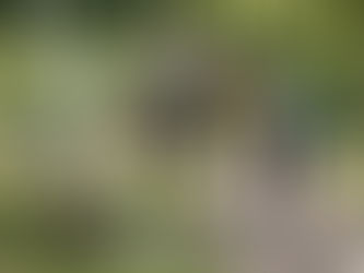 Adults preparing for run in park