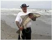 Namibia_shark_fish3.jpeg