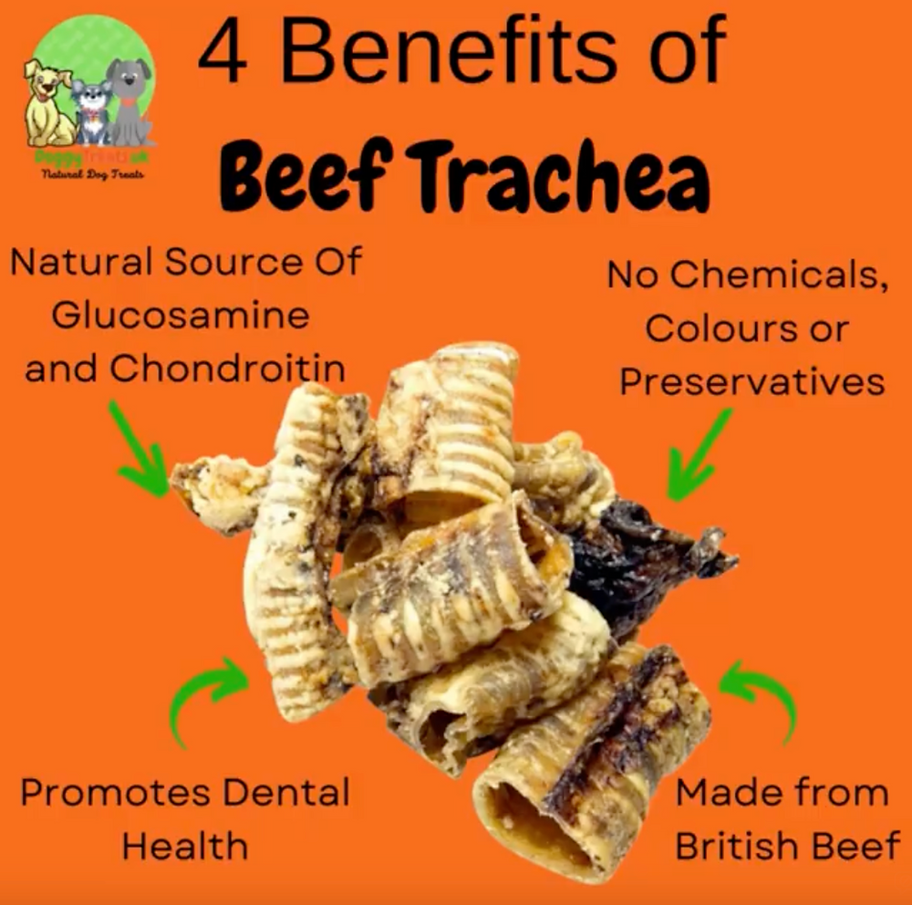 The Best Ever Teeth Cleaner For Your Dog Beef Trachea!
