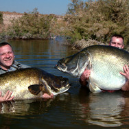 Two-Big-Nile-Perch.jpeg