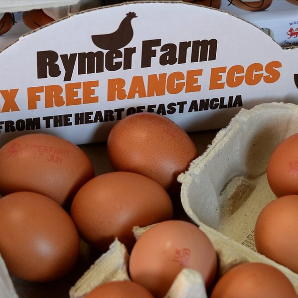 Wholesale Blunham Dairy B2B Dairy Delivery Milk, eggs and more