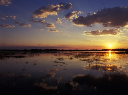 Botswana-Delta.jpeg