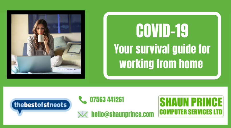 Coronavirus – Survival tips for working at home