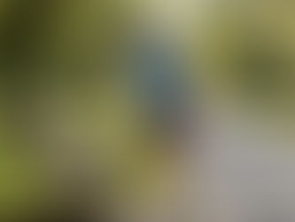 Runner stretching thigh after run in park