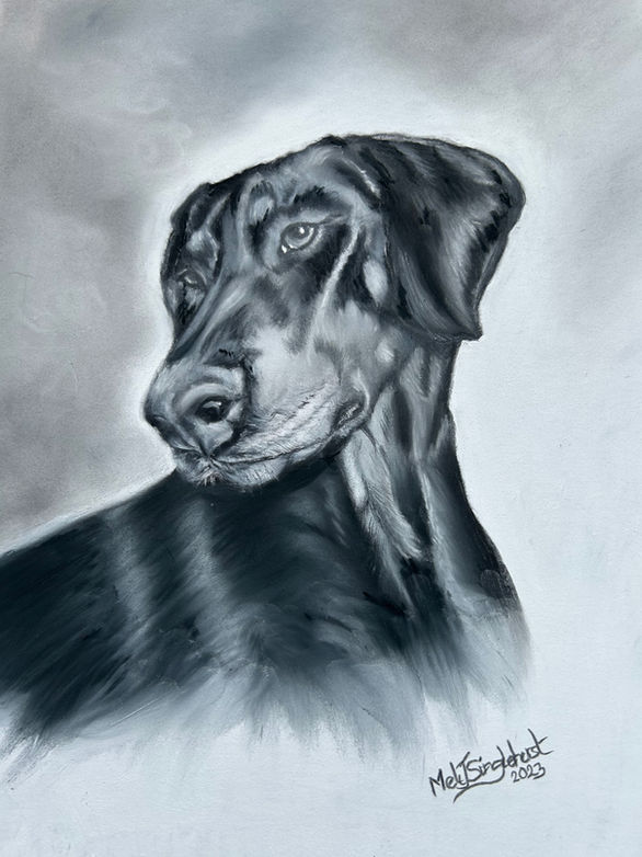 Melanie Singlehurst Pet Portraits