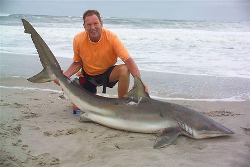 Namibia_shark_fishing_on_the_beach.jpeg