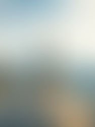 Balanced Leaders & Healthy Churches