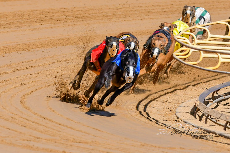 Coming off the far turn, GLS Hi Dolly holds a narrow lead over Arroyo Outlaw. GLS Hi Dolly was able to hold off the challenge and capture the Juvenile by a nose in a photo finish. (Photo by Steve Schiferl, Greyt Expressions Photography)