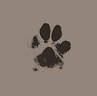 insta icon paw.png