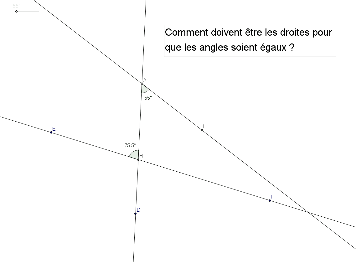 activité3.gif