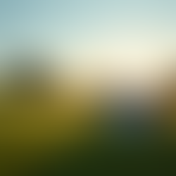 Odkryj treningi Zoga Golf i poznaj zdrowego golfa!