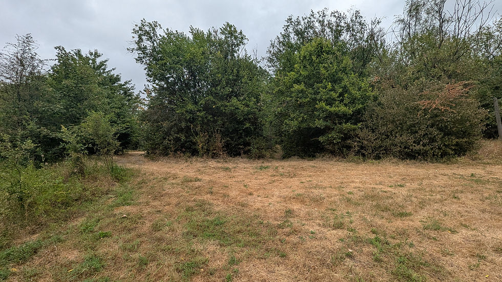 PXL_20260726_151243381.jpg