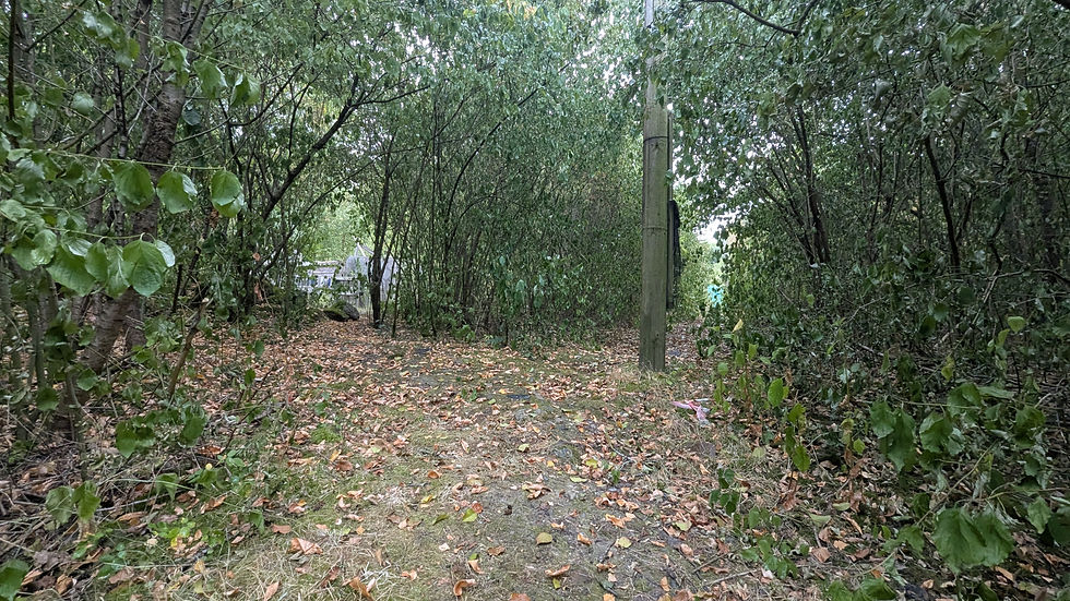 PXL_20260726_152145744.jpg