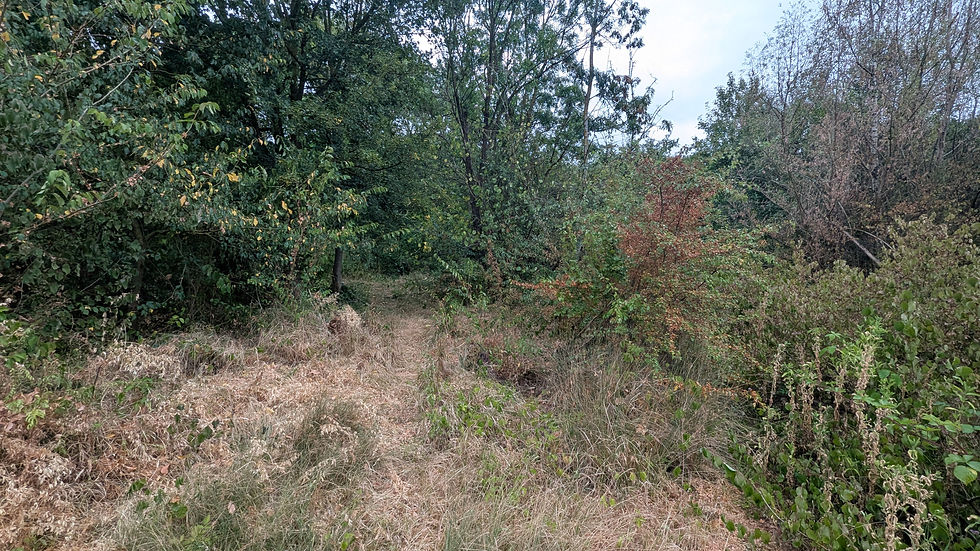 PXL_20260726_152055669.jpg