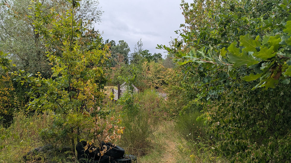 PXL_20260726_151915900.jpg