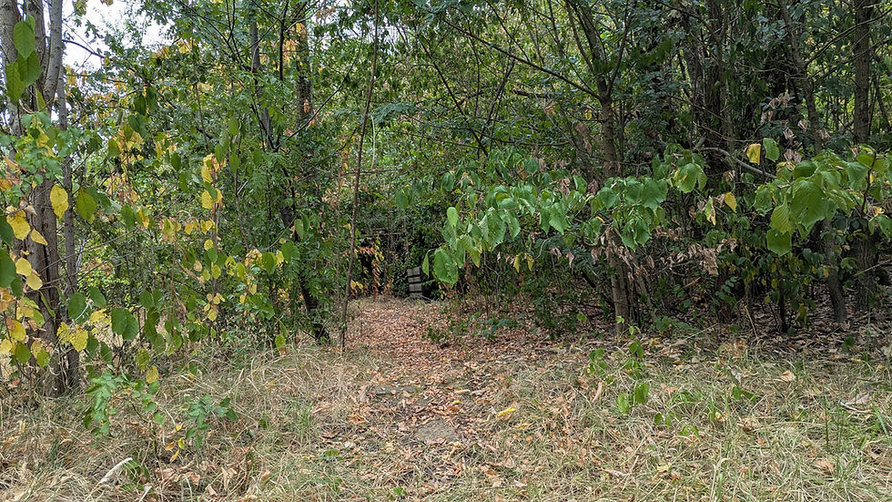 PXL_20260726_151514154.jpg