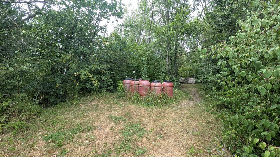 PXL_20260726_151842482.jpg