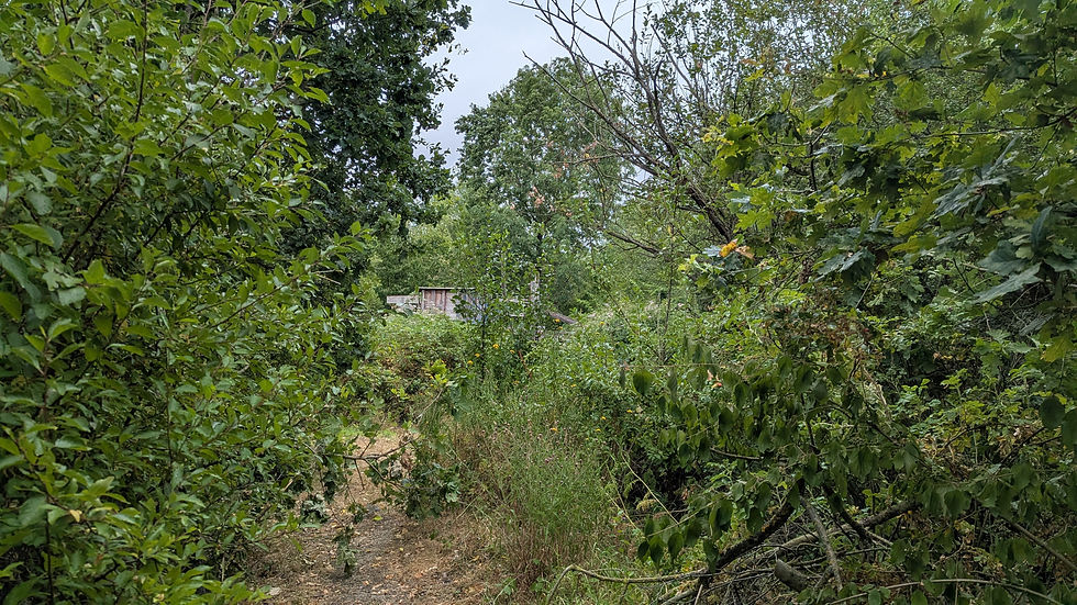 PXL_20260726_151723951.jpg