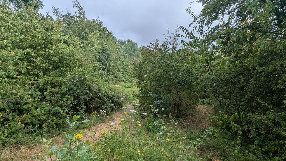 PXL_20260726_151847264.jpg