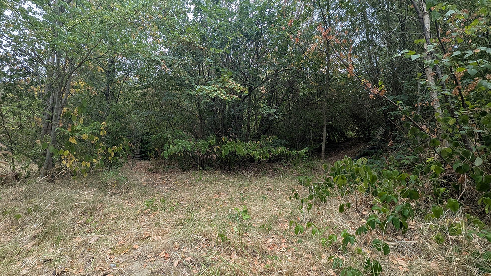PXL_20260726_151518477.jpg