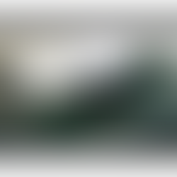 CMS Publishes Version 4.5 of the WCMSA Reference Guide