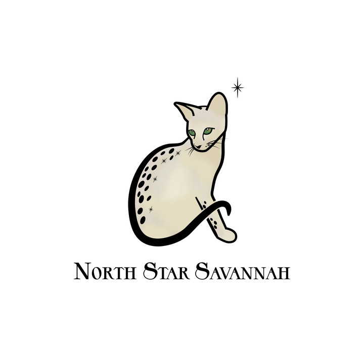 North Star Savannah logo and branding by Z Squared Studio.