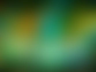 Dirtybird Campout and Northern Nights Music Festival Reveal 2026 Phase One Lineup