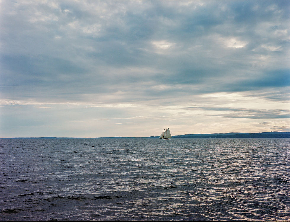 Exploring Nature Through Limited Edition Fine Art Prints