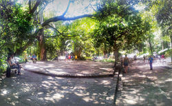 20140406_165743-PANO.jpg