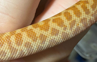 tpluss1012_edited_edited_edited_edited.j