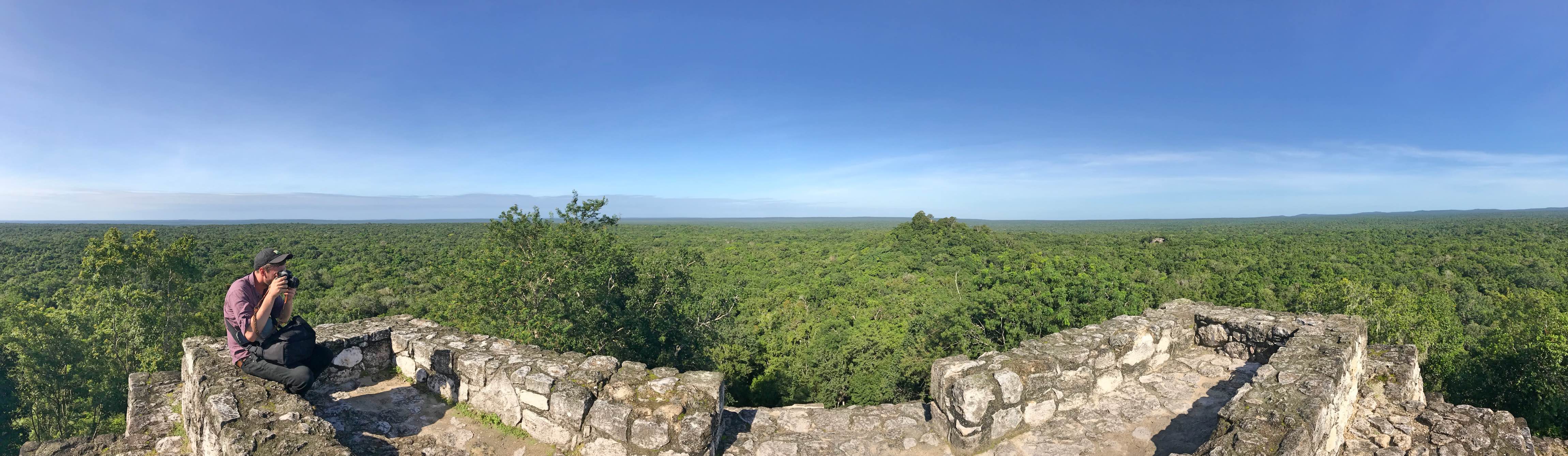 Jungle panoramic at Calakmul