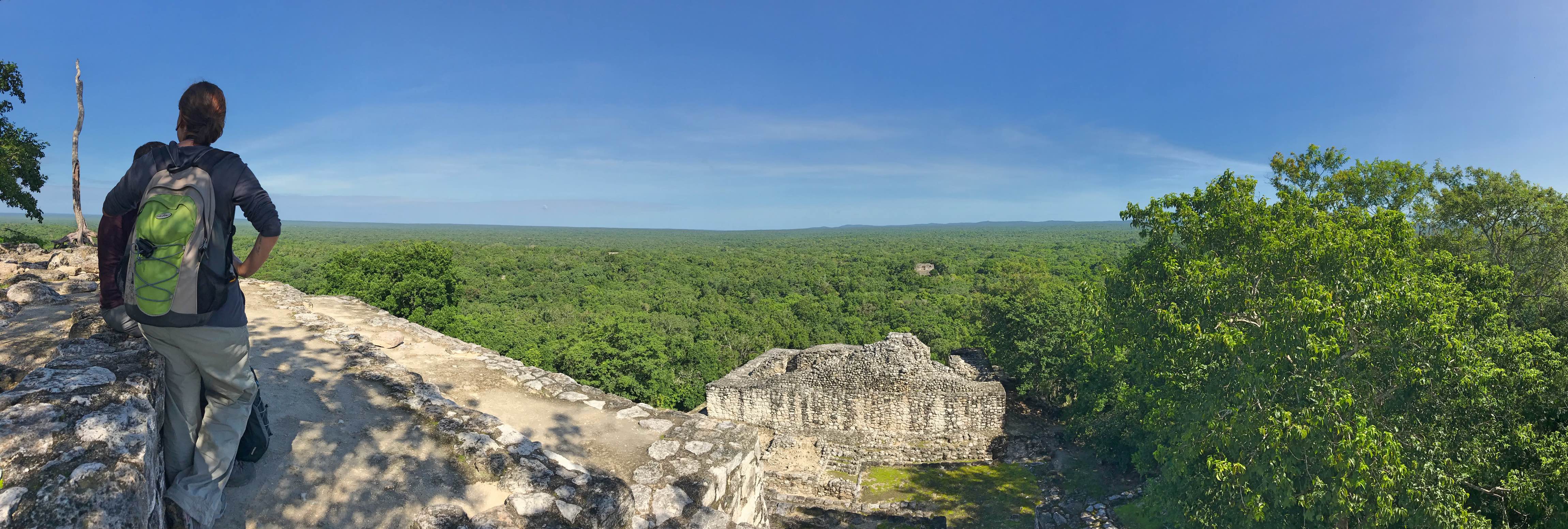 Jungle all the way to the horizon