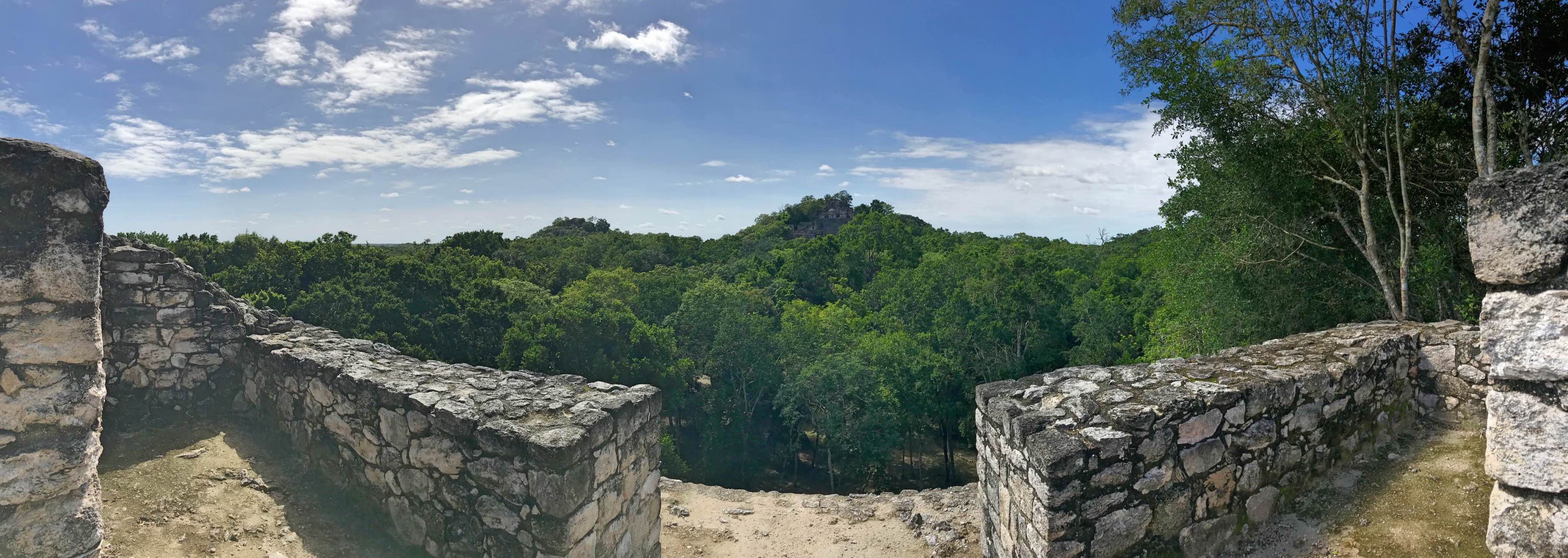View from Structure VII at Calakmul