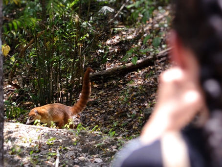 Qué llevar a Calakmul: la lista honesta