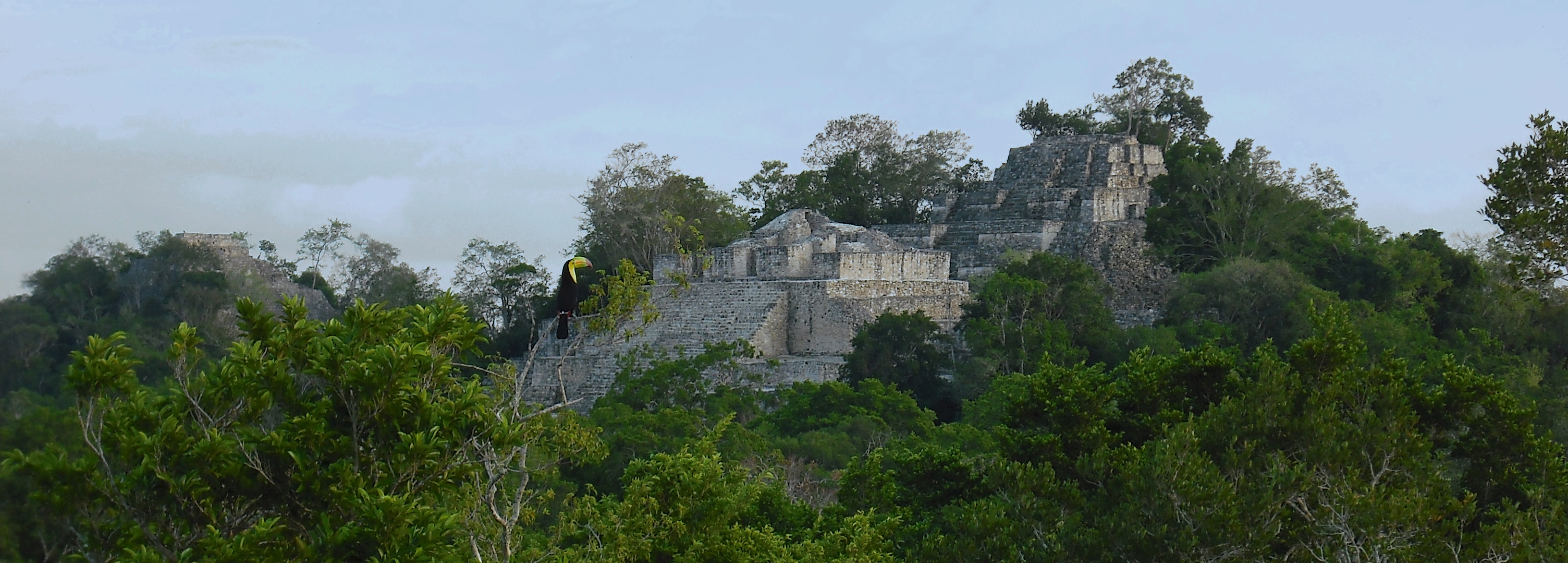 View of Structure II at Calakmul