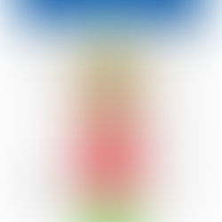 Semáforo Insumo-Producto Septiembre 2024