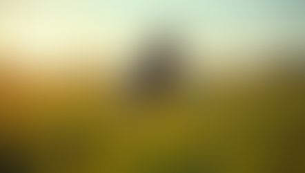 Youth Empowerment in Ghana's Agriculture Sector