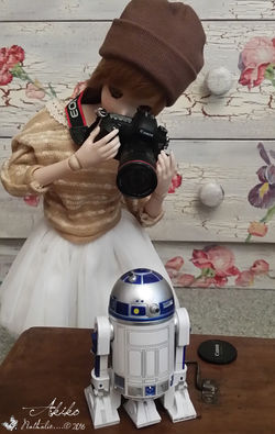 Akiko Mirai・秋子・未来